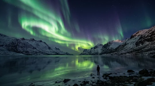 Aurore boréale verte et violette dansant au-dessus d'un paysage arctique enneigé avec un lac gelé au premier plan