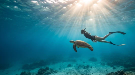 Plongeur en apnée observant un récif corallien préservé dans une lumière naturelle, symbole du respect des océans